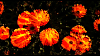 vlcsnap-2011-01-08-10h22m58s93.png