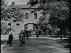 vlcsnap-2011-01-23-06h42m45s162.png