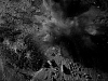 vlcsnap-2011-01-23-07h04m19s20.png
