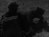 Pulsa en la imagen para verla en tamao completo

Nombre: vlcsnap-2011-01-30-21h13m05s72.png
Visitas: 5
Tamao: 333.2 KB
ID: 11154