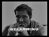 belaremino_0.png