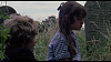 Pulsa en la imagen para verla en tamao completo

Nombre: vlcsnap-2011-05-28-13h44m01s46.png
Visitas: 18
Tamao: 965.6 KB
ID: 15309