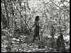 vlcsnap-2011-05-29-16h03m56s176.png