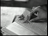 vlcsnap-2011-05-29-16h13m39s89.png