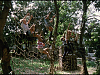 vlcsnap-2011-07-15-08h54m28s12.png