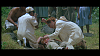Pulsa en la imagen para verla en tamao completo

Nombre: vlcsnap-2011-07-21-19h21m45s93.png
Visitas: 7
Tamao: 1,020.1 KB
ID: 17048