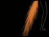 Ocelot_animation.png