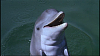 vlcsnap-2012-01-15-18h49m34s206.png