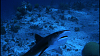 vlcsnap-2012-01-15-18h52m14s3.png
