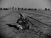 Pulsa en la imagen para verla en tamao completo

Nombre: vlcsnap-2012-01-21-09h47m45s82.png
Visitas: 6
Tamao: 384.5 KB
ID: 21955