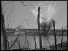 Pulsa en la imagen para verla en tamao completo

Nombre: vlcsnap-2012-02-01-11h17m55s79.png
Visitas: 8
Tamao: 455.1 KB
ID: 22112