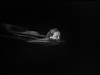 vlcsnap-2012-02-26-07h31m16s22.png