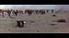 Pulsa en la imagen para verla en tamao completo

Nombre: vlcsnap-2012-03-19-09h07m00s213.png
Visitas: 6
Tamao: 749.8 KB
ID: 24936