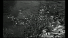 Pulsa en la imagen para verla en tamao completo

Nombre: vlcsnap-2012-04-18-13h34m50s202.png
Visitas: 6
Tamao: 621.8 KB
ID: 25876