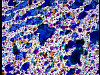 vlcsnap-2012-04-21-12h36m38s192.png
