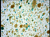 vlcsnap-2012-04-21-12h37m38s19.png