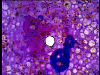 vlcsnap-2012-04-21-12h46m09s12.png