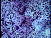 vlcsnap-2012-04-21-12h50m33s96.png