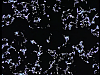 vlcsnap-2012-04-21-12h51m17s19.png