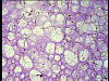 vlcsnap-2012-04-21-12h54m12s236.png