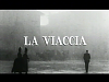 viaccia00001.png