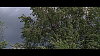 20130114101236705.PNG