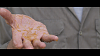 20130114101341054.PNG