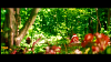 20130120110539725.PNG