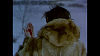 vlcsnap-2014-01-12-12h05m30s83.png