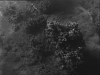 Pulsa en la imagen para verla en tamao completo

Nombre: vlcsnap-2015-05-17-17h15m23s150.png
Visitas: 5
Tamao: 300.1 KB
ID: 39504