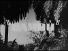 bambu_0.png