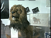 vlcsnap-2010-07-15-12h20m50s239.png