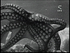 Pulsa en la imagen para verla en tamao completo

Nombre: vlcsnap-2010-12-08-12h59m50s114.png
Visitas: 11
Tamao: 528.1 KB
ID: 9834