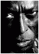 Avatar de Luisete74