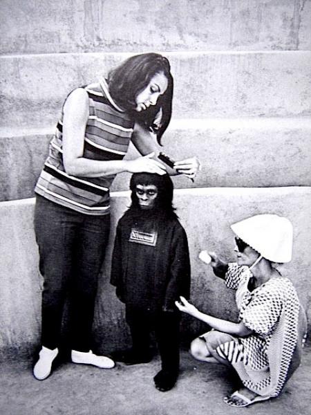 Bp5X0kftForkwnjjsBD0R1FAo1 500